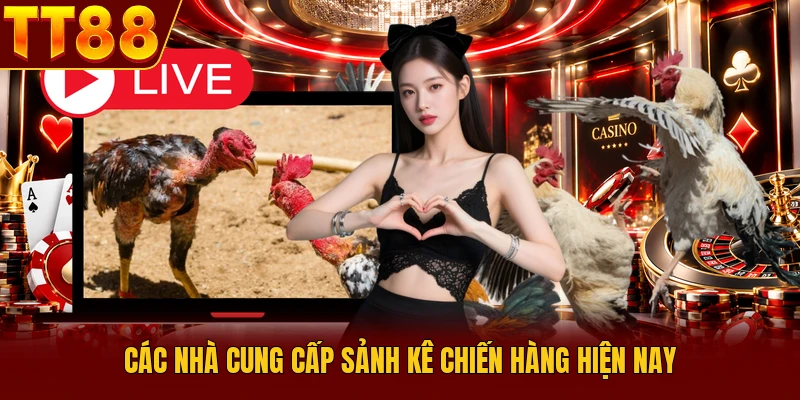 Đá Gà TT88 - Sảnh Cược Kê Chiến Trực Tuyến Sôi Động 2026 - TT88 🎖️ Trang chủ TT88 COM Uy Tín | Link Tải , Đăng Ký TT 88 Chính Thức - slotlumo88.asia Đá Gà TT88 - Sảnh Cược Kê Chiến Trực Tuyến Sôi Động 2026 - TT88 🎖️ Trang chủ TT88 COM Uy Tín | Link Tải , Đăng Ký TT 88 Chính Thức - slotlumo88.asia